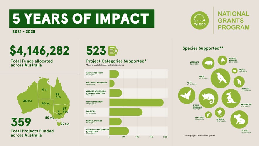 5 Years of National Grant Program Infographic (1)