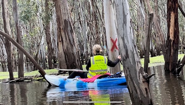 9F430724-33A9-419A-BDF6-FD827293B0A1