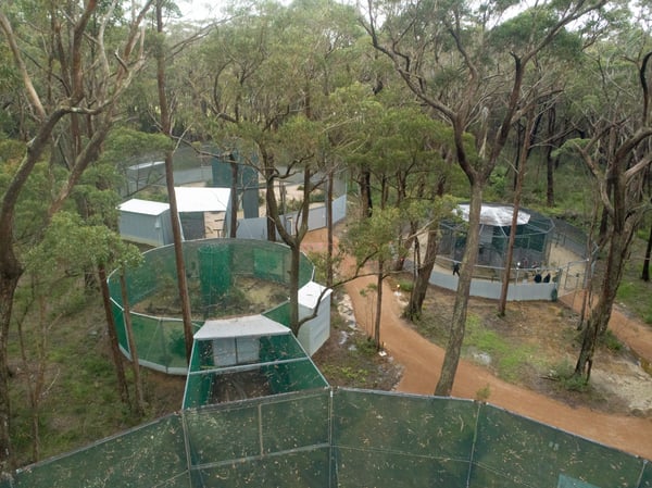 Aerial shot all aviaries angled