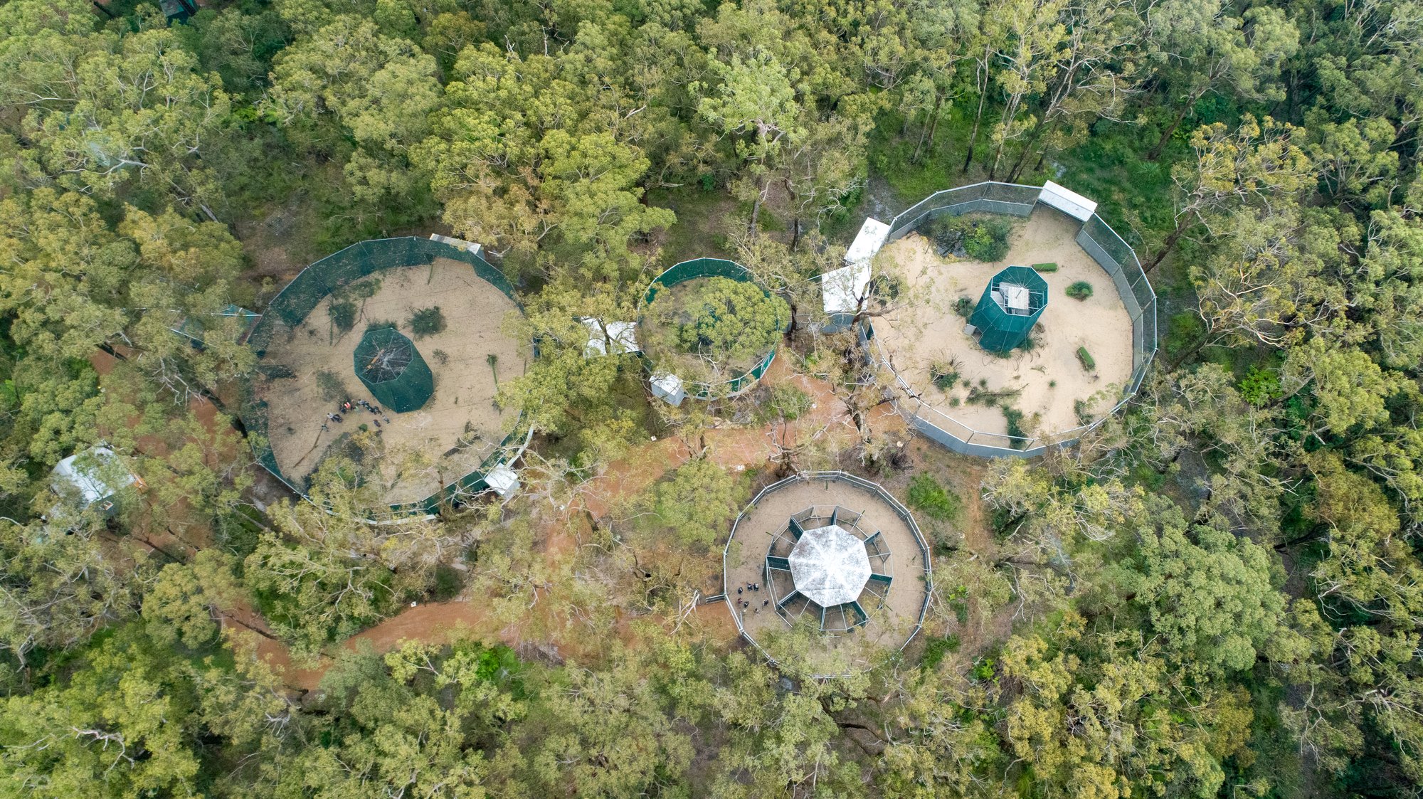 Aerial shot all aviaries