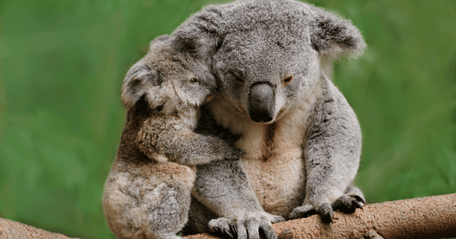copy-of-blogwebsite-images-1200-x-630-211711496237145-1711496239025-1