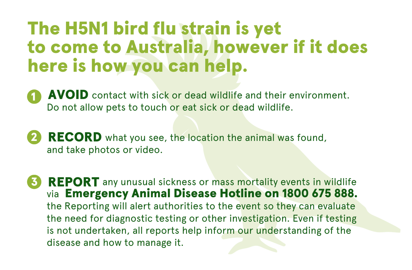 Being prepared is critical to reduce the wildlife impacts of a H5N1 ...