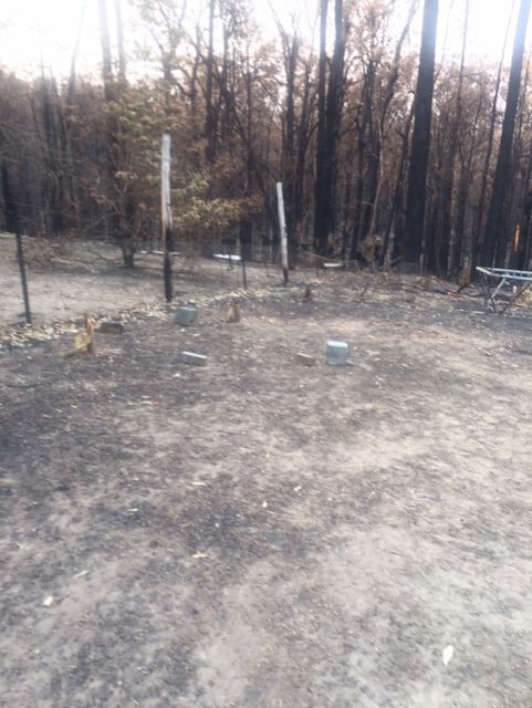 img-burnt-pen-3-16266693017151683439483354-1683439484629