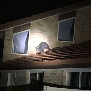 on-roof-sq-16270436554031684376054209-1684376055226