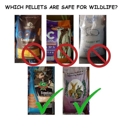 pellets-16270548519111683694949713-1683694951036