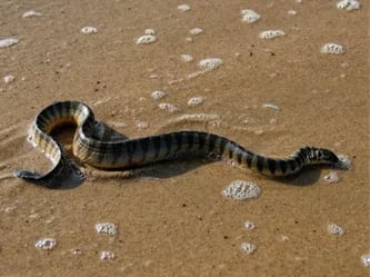 Images for website boxes (7)