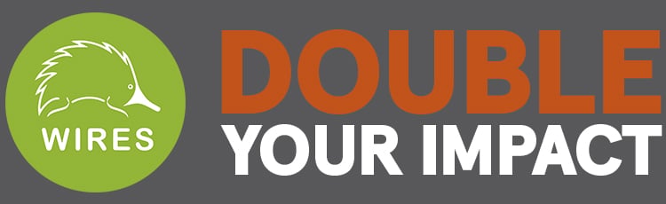 Double Your Impact