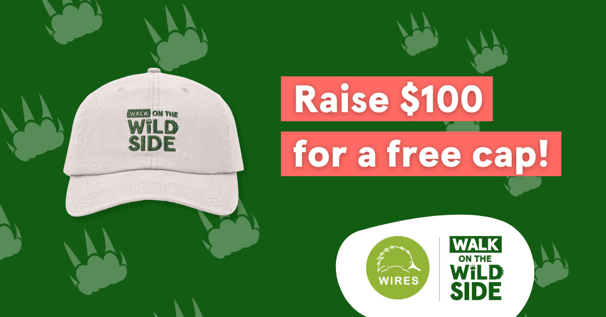 NEW raise 100 to get a cap (Test)_V1_1.91x1