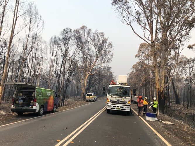 Photo 22-11-19, 11 35 13 am (1)