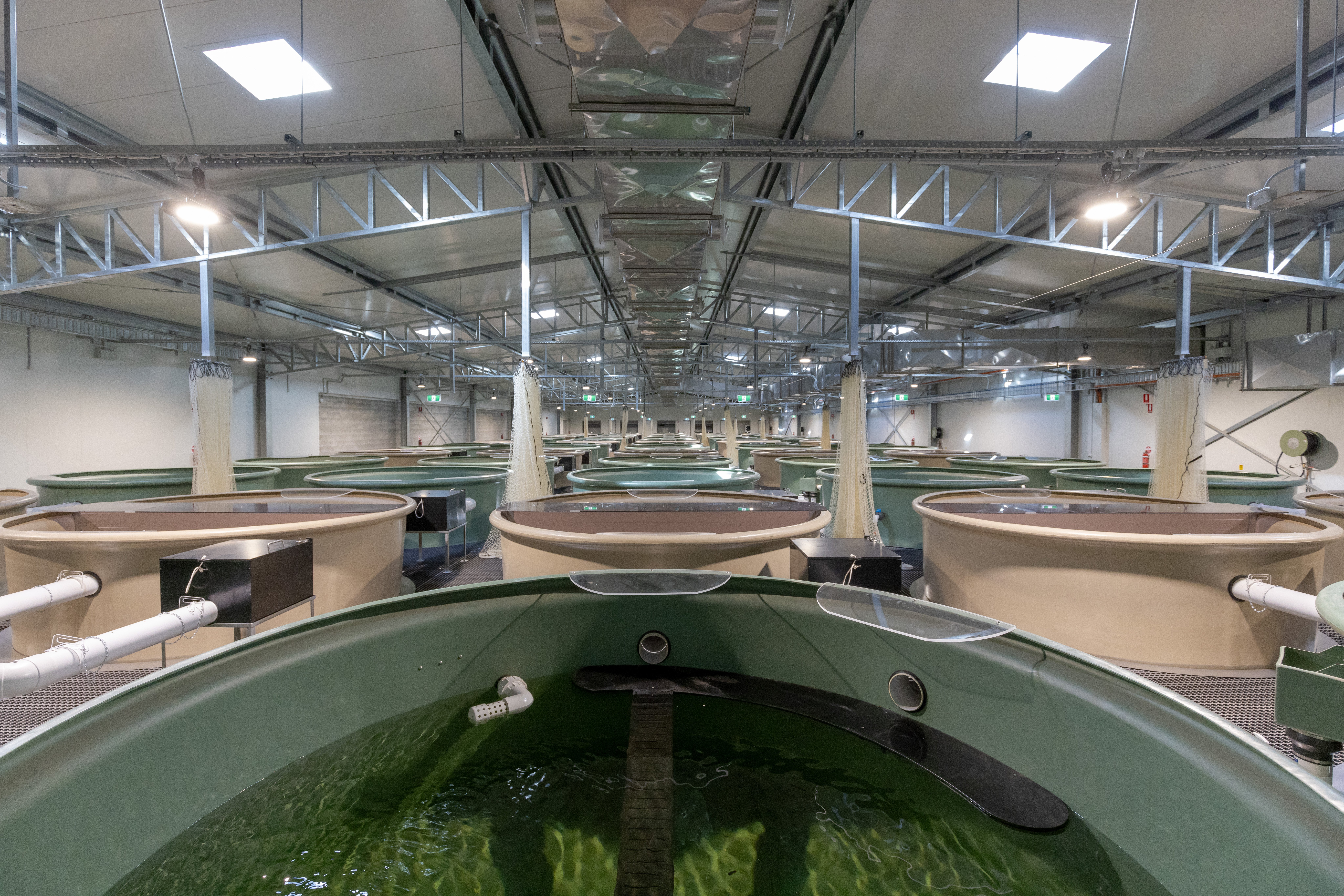 Platypus Facility