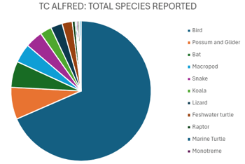 TC Alfred species stats