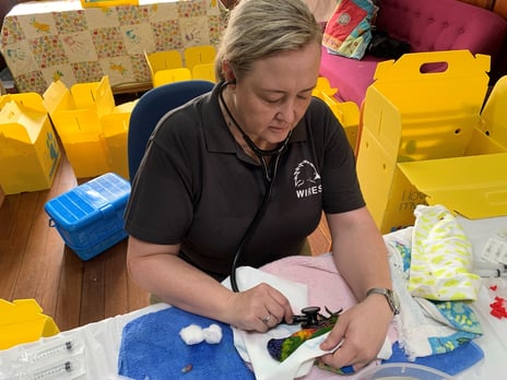 Tania in action LPS 2