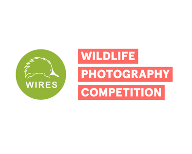 WIRES 2026 Wildlife Photography Competition