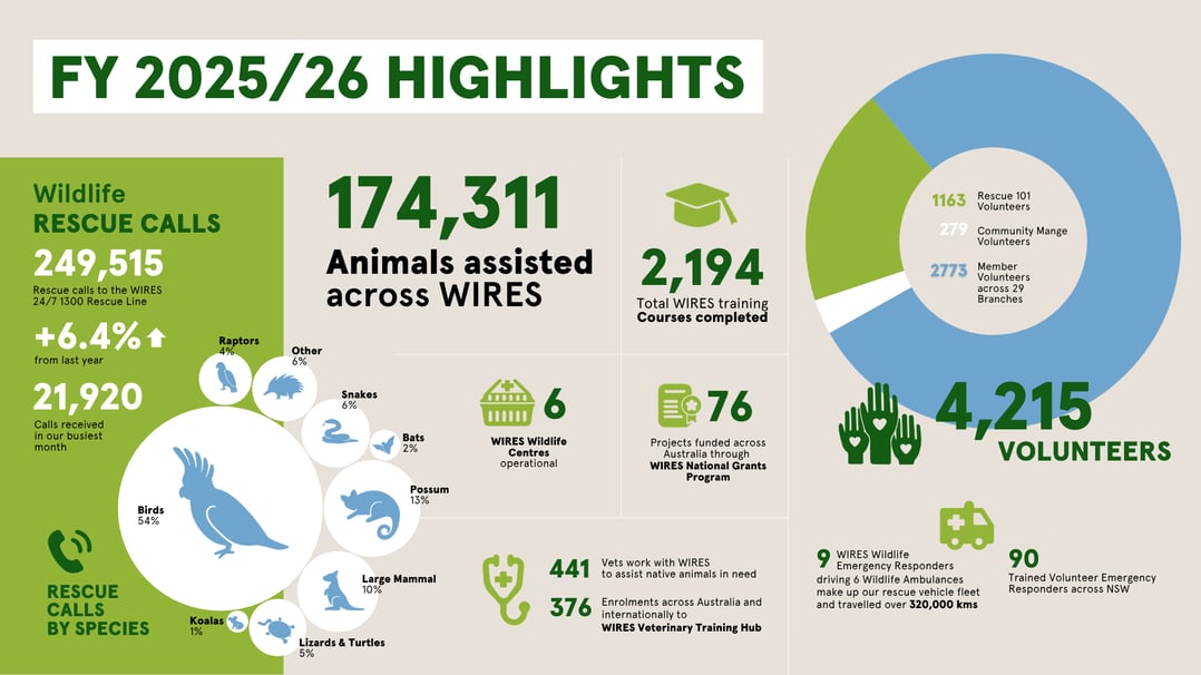 WIRES Annual Impact Report  (1)-1