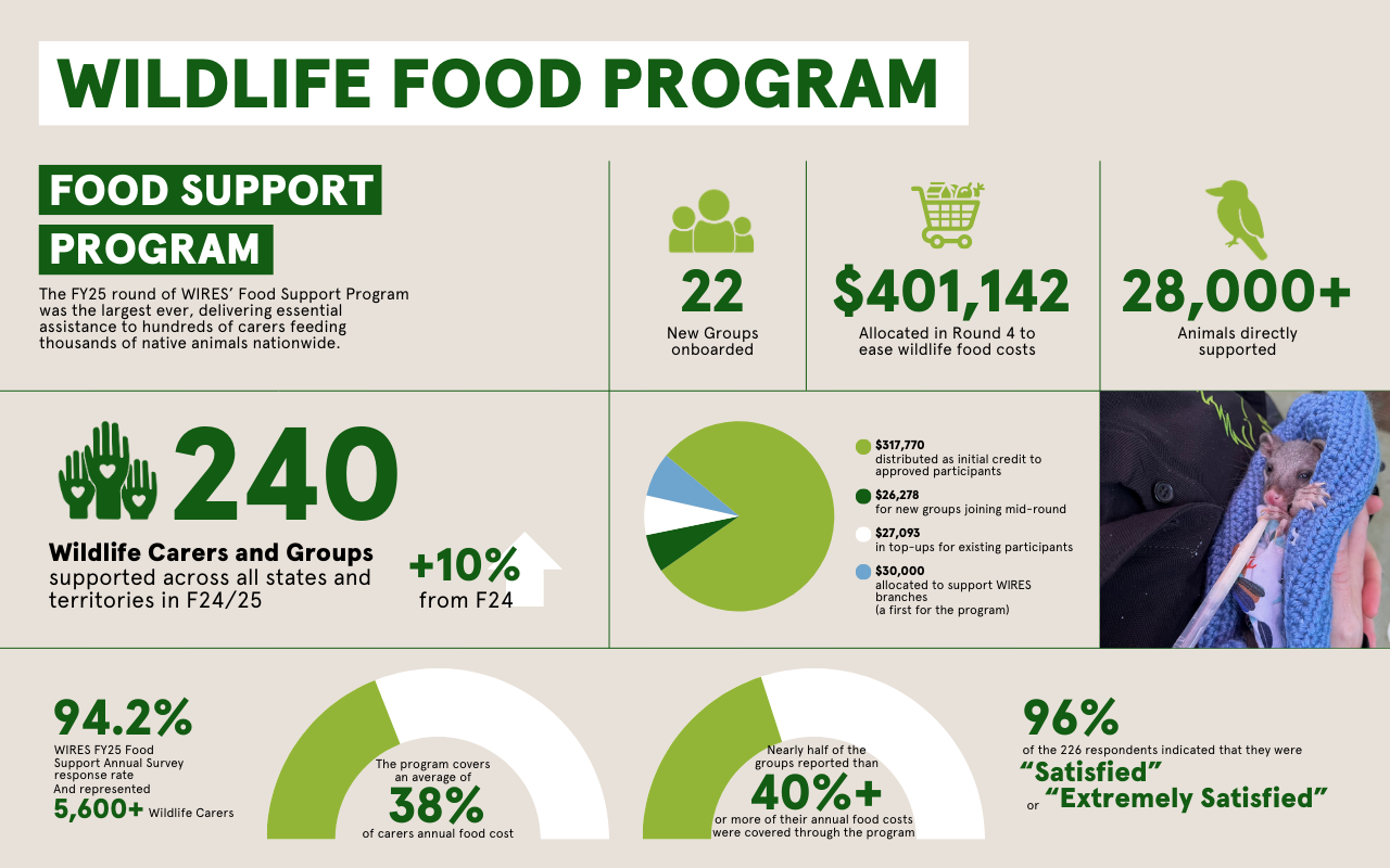 WIRES Annual Impact Report  (1)