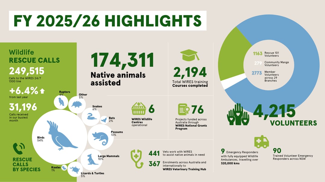 WIRES Annual Impact Report  (3)