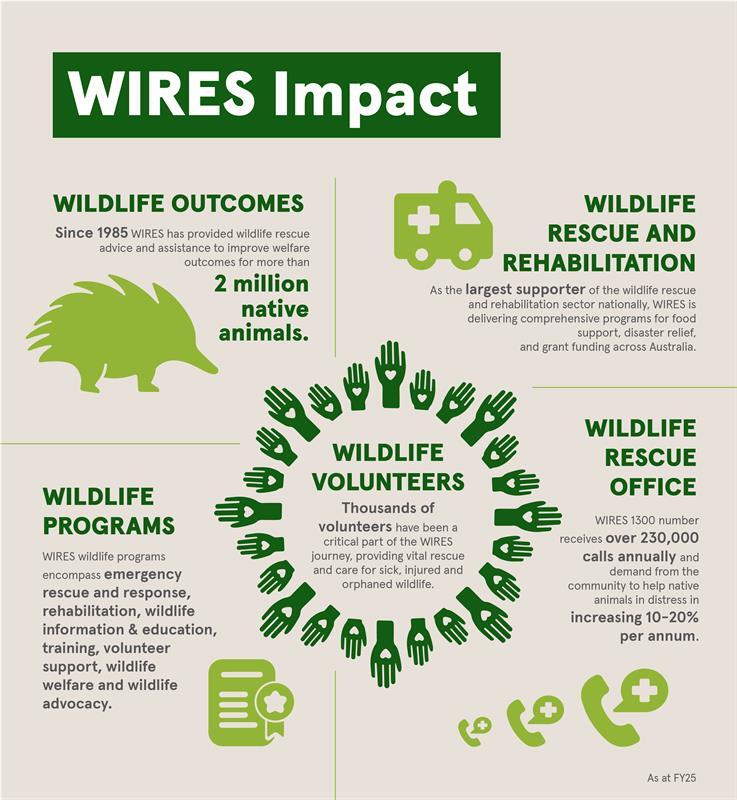 WIRES Impact - 2025