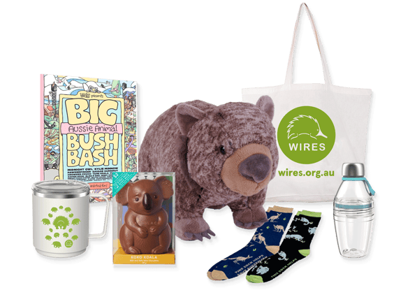 WOWS Prize Bundle - photo medley-V2