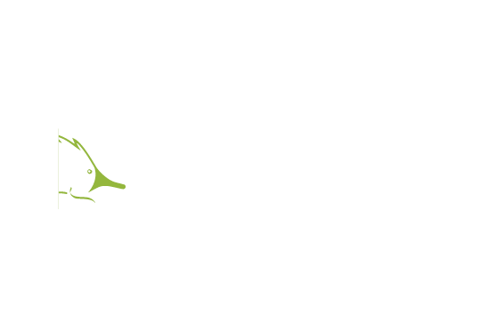 Wires_2026 giving day logo_558x364_72dpi