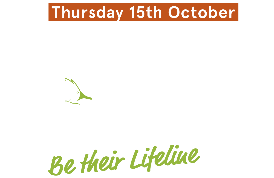 Wires_2026 giving day_logo_558x364_orange Wires_2026 giving day_logo_558x364_orange