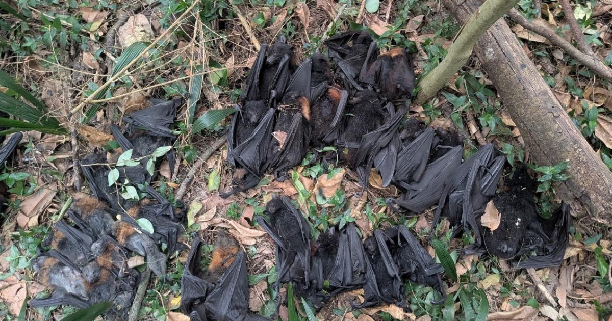 blogwebsite images 1200 x 630 (14)