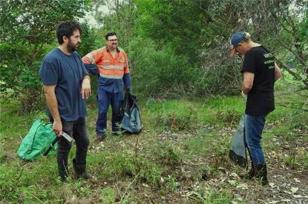 wollondilly planting wollondilly planting