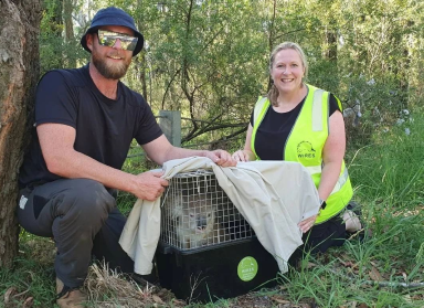 Introduction to Wildlife Rescue