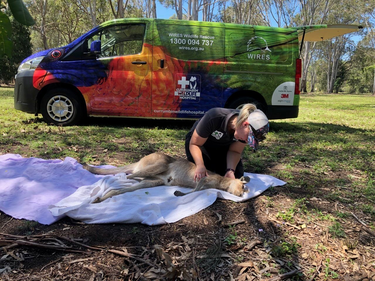 amy-kangaroo-relocation-30th-oct1720665699834-1720665700982