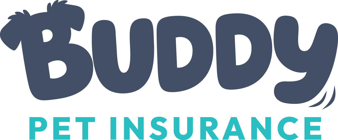 Buddy_LOGO_CMYK