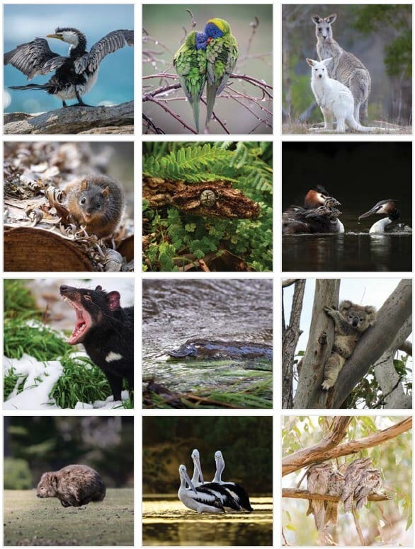 Calendar back page Calendar back page