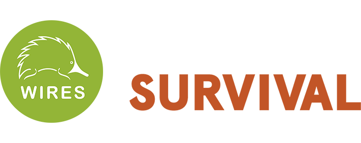 WIRES Logo + Edge of Survival-1