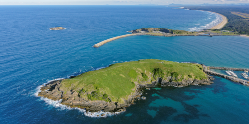 Muttonbird Island Nature Reserve