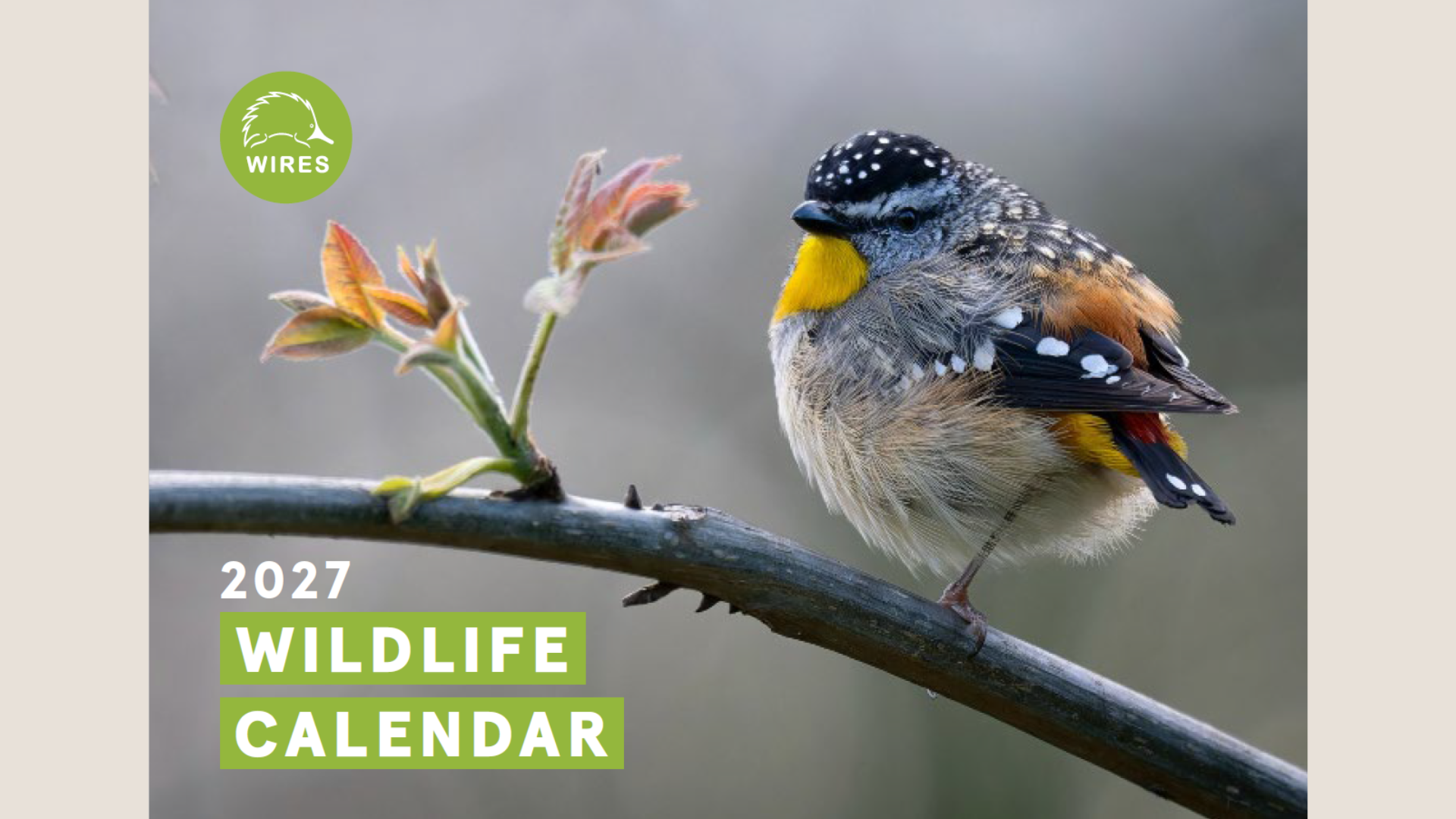 2027 WIRES Wildlife Calendar