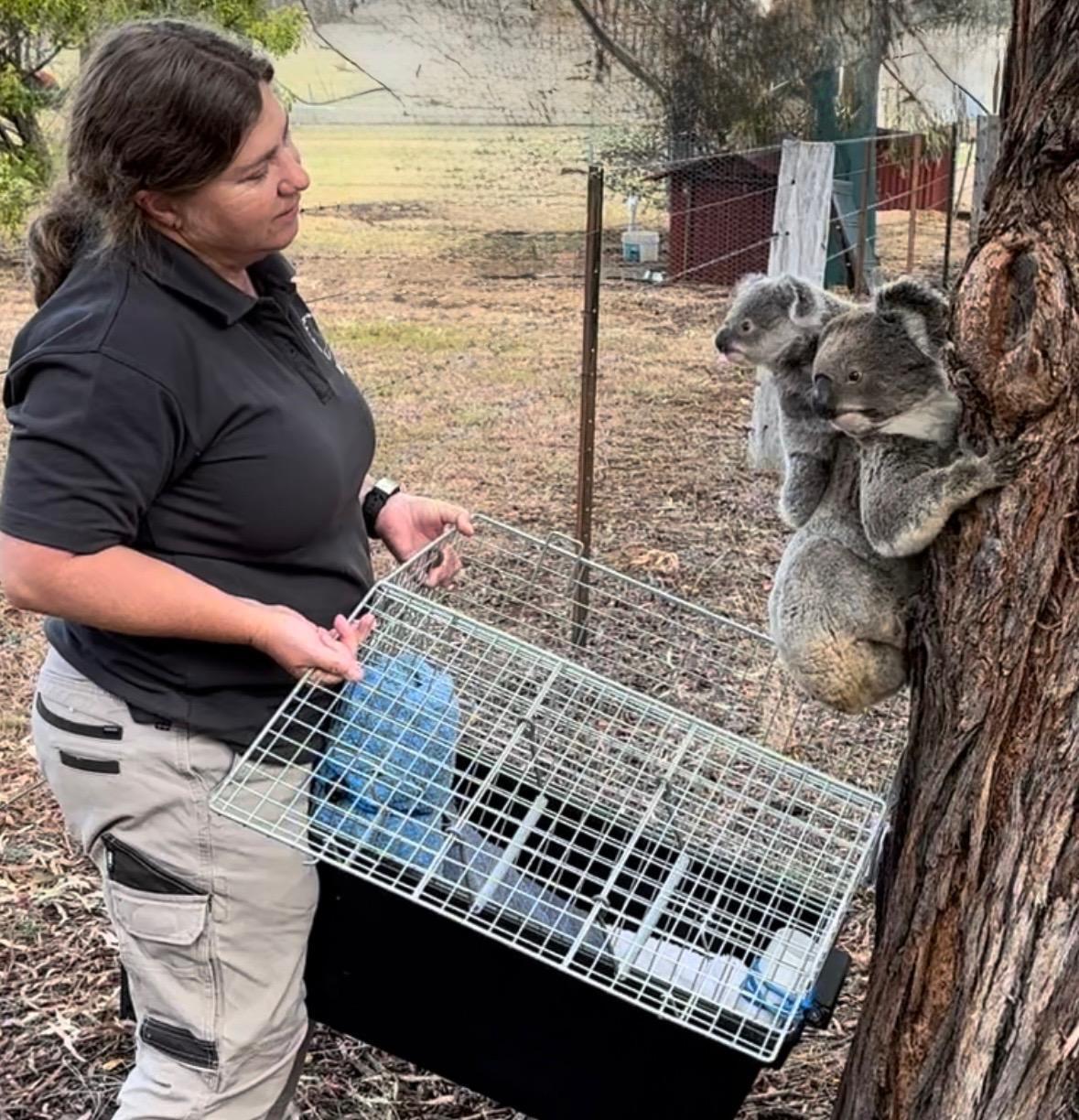 International Women's Day 2026