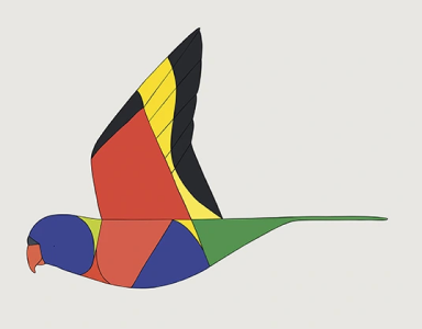 Lorikeet print